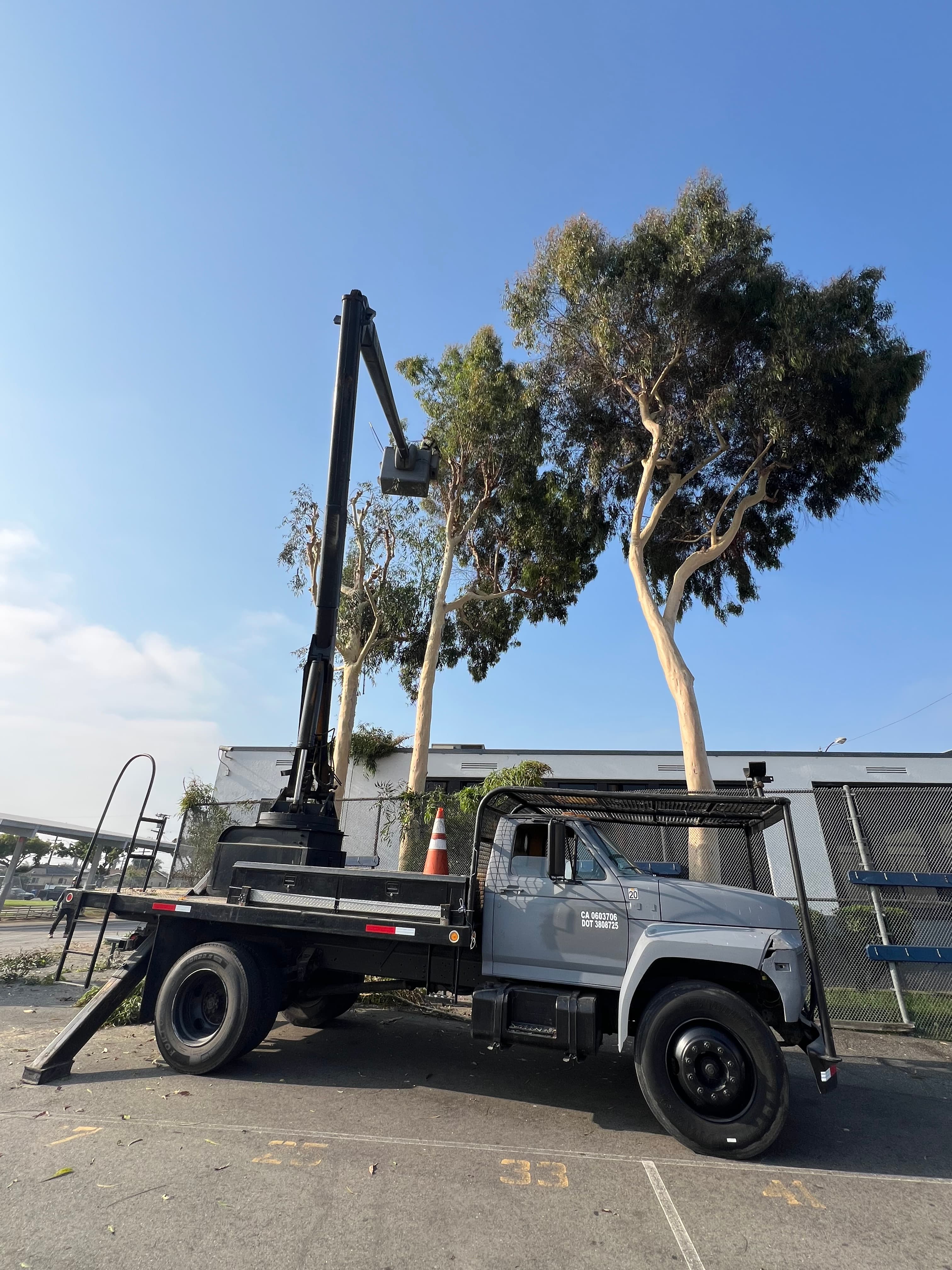 Reynoso Tree Service on-site equipment